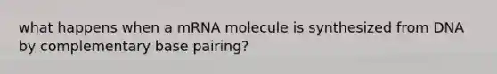 what happens when a mRNA molecule is synthesized from DNA by complementary base pairing?