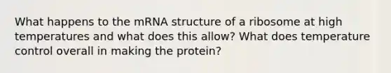 What happens to the mRNA structure of a ribosome at high temperatures and what does this allow? What does temperature control overall in making the protein?