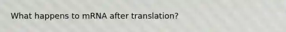 What happens to mRNA after translation?