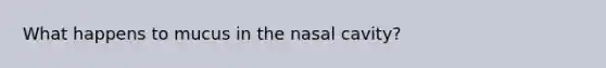 What happens to mucus in the nasal cavity?