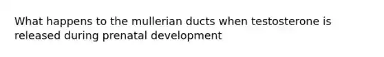What happens to the mullerian ducts when testosterone is released during prenatal development