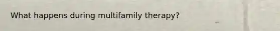 What happens during multifamily therapy?