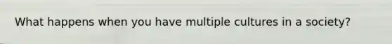What happens when you have multiple cultures in a society?