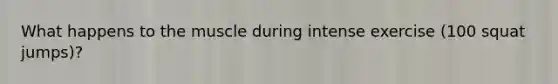 What happens to the muscle during intense exercise (100 squat jumps)?