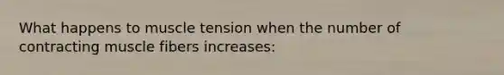 What happens to muscle tension when the number of contracting muscle fibers increases: