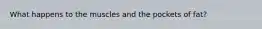 What happens to the muscles and the pockets of fat?