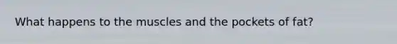 What happens to the muscles and the pockets of fat?