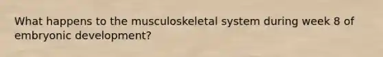 What happens to the musculoskeletal system during week 8 of embryonic development?