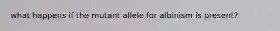 what happens if the mutant allele for albinism is present?