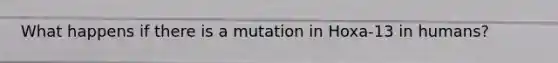 What happens if there is a mutation in Hoxa-13 in humans?