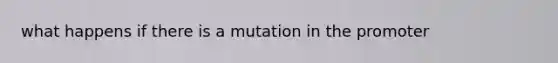 what happens if there is a mutation in the promoter