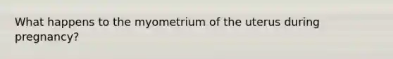 What happens to the myometrium of the uterus during pregnancy?