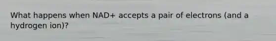 What happens when NAD+ accepts a pair of electrons (and a hydrogen ion)?