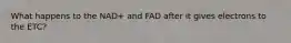 What happens to the NAD+ and FAD after it gives electrons to the ETC?