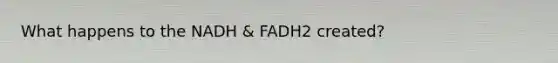 What happens to the NADH & FADH2 created?