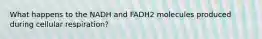 What happens to the NADH and FADH2 molecules produced during cellular respiration?