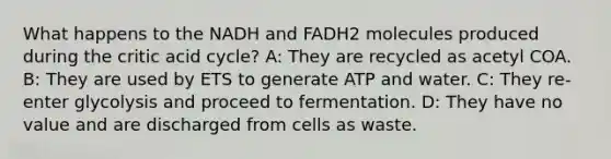 What happens to the NADH and FADH2 molecules produced during the critic acid cycle? A: They are recycled as acetyl COA. B: They are used by ETS to generate ATP and water. C: They re-enter glycolysis and proceed to fermentation. D: They have no value and are discharged from cells as waste.