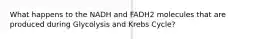 What happens to the NADH and FADH2 molecules that are produced during Glycolysis and Krebs Cycle?