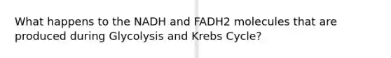 What happens to the NADH and FADH2 molecules that are produced during Glycolysis and Krebs Cycle?