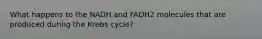 What happens to the NADH and FADH2 molecules that are produced during the Krebs cycle?