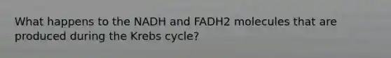 What happens to the NADH and FADH2 molecules that are produced during the Krebs cycle?