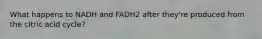 What happens to NADH and FADH2 after they're produced from the citric acid cycle?