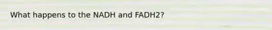 What happens to the NADH and FADH2?