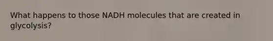 What happens to those NADH molecules that are created in glycolysis?