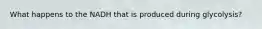 What happens to the NADH that is produced during glycolysis?