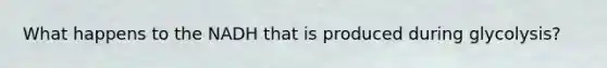 What happens to the NADH that is produced during glycolysis?