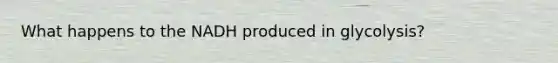 What happens to the NADH produced in glycolysis?