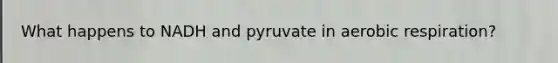 What happens to NADH and pyruvate in aerobic respiration?