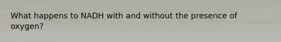 What happens to NADH with and without the presence of oxygen?