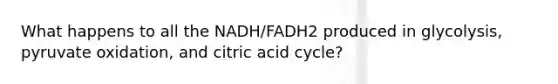 What happens to all the NADH/FADH2 produced in glycolysis, pyruvate oxidation, and citric acid cycle?