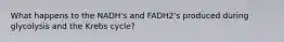 What happens to the NADH's and FADH2's produced during glycolysis and the Krebs cycle?