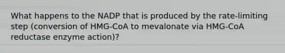 What happens to the NADP that is produced by the rate-limiting step (conversion of HMG-CoA to mevalonate via HMG-CoA reductase enzyme action)?