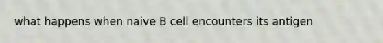 what happens when naive B cell encounters its antigen