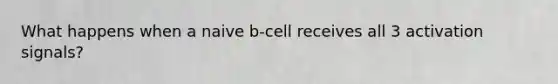 What happens when a naive b-cell receives all 3 activation signals?