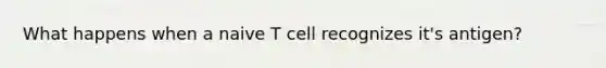 What happens when a naive T cell recognizes it's antigen?