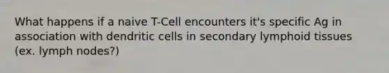 What happens if a naive T-Cell encounters it's specific Ag in association with dendritic cells in secondary lymphoid tissues (ex. lymph nodes?)