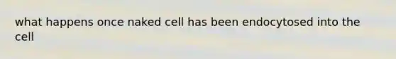 what happens once naked cell has been endocytosed into the cell