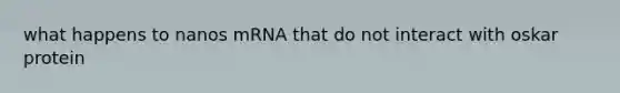 what happens to nanos mRNA that do not interact with oskar protein