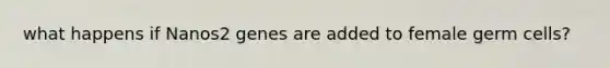 what happens if Nanos2 genes are added to female germ cells?