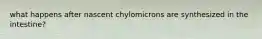 what happens after nascent chylomicrons are synthesized in the intestine?