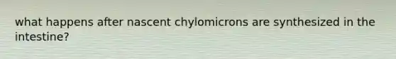 what happens after nascent chylomicrons are synthesized in the intestine?