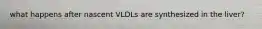 what happens after nascent VLDLs are synthesized in the liver?