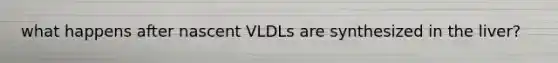 what happens after nascent VLDLs are synthesized in the liver?