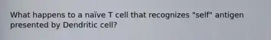 What happens to a naïve T cell that recognizes "self" antigen presented by Dendritic cell?