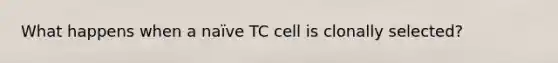 What happens when a naïve TC cell is clonally selected?