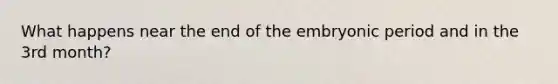 What happens near the end of the embryonic period and in the 3rd month?